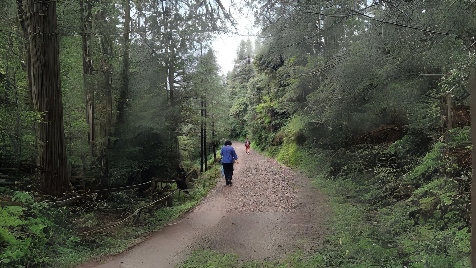 Peregrinar e seguir o caminho que se perde no horizonte, simbolizando continuidade e transformação