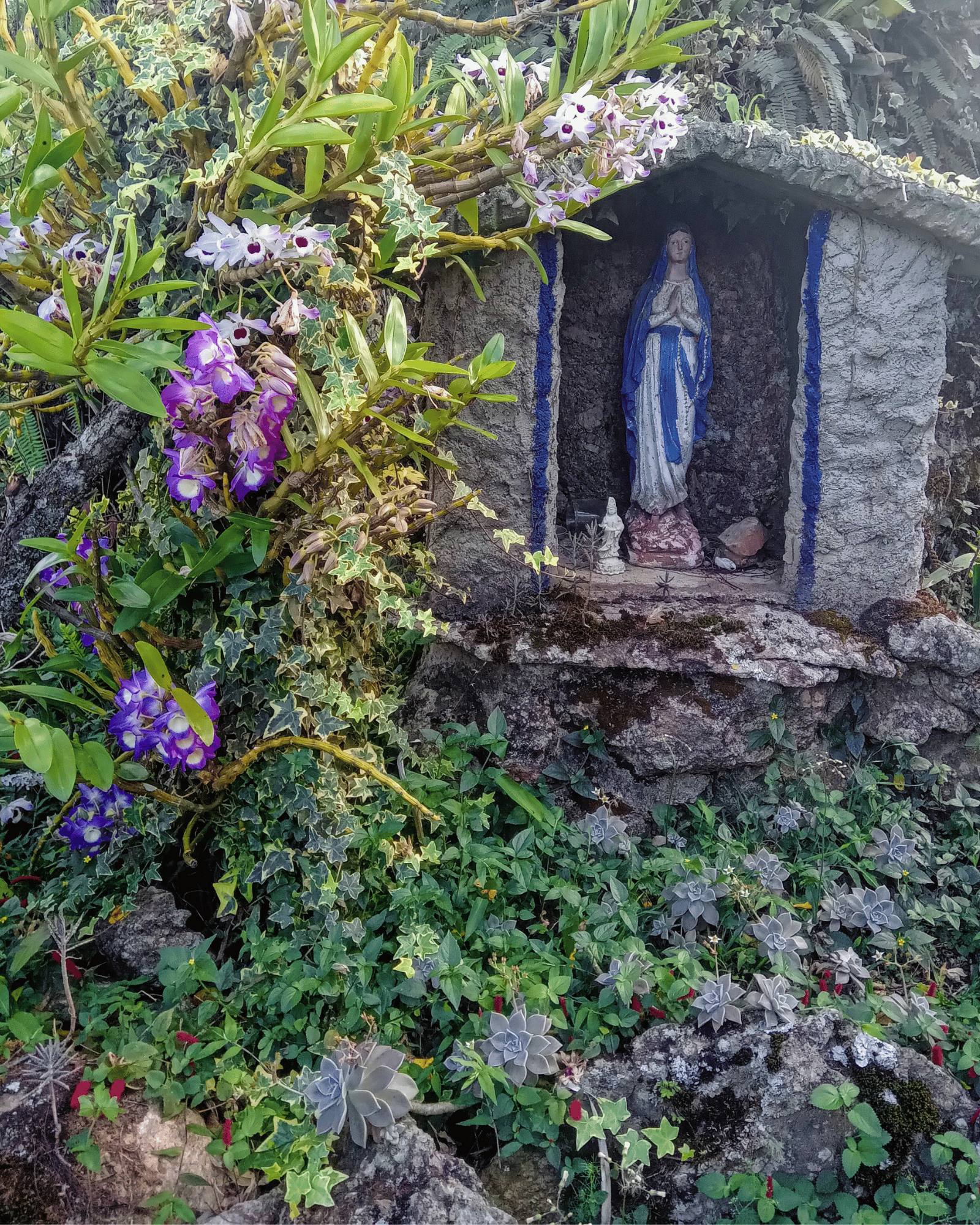 Imagem de Nossa Senhora entre flores e vegetação no jardim do Tao Tien