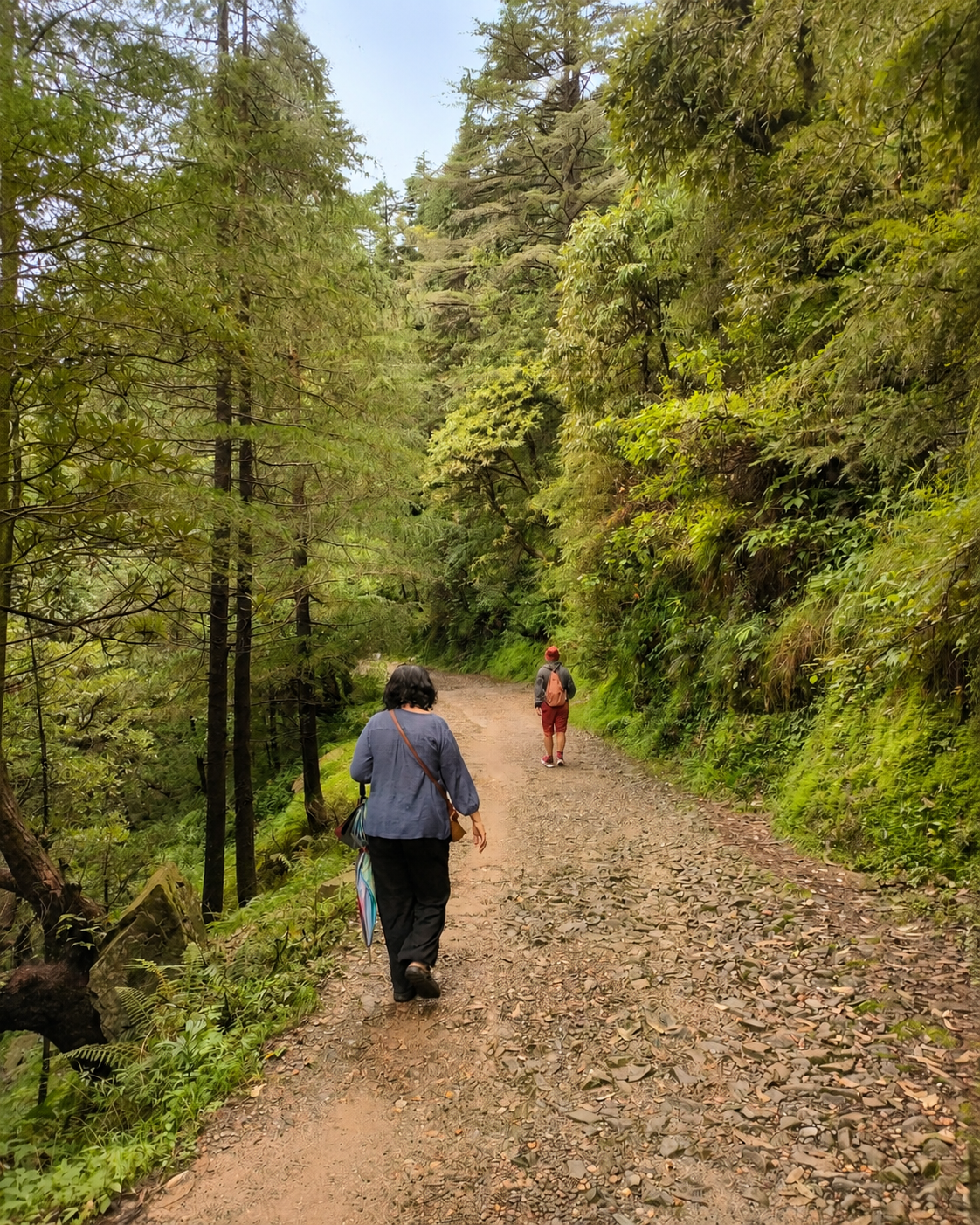 Duas pessoas caminhando por uma trilha cercada pela natureza